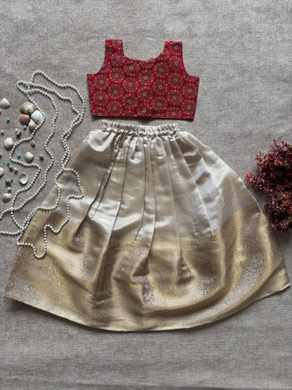 Brocade Skirt & Pour Cotton Printed Top