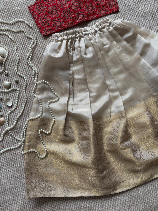 Brocade Skirt & Pour Cotton Printed Top